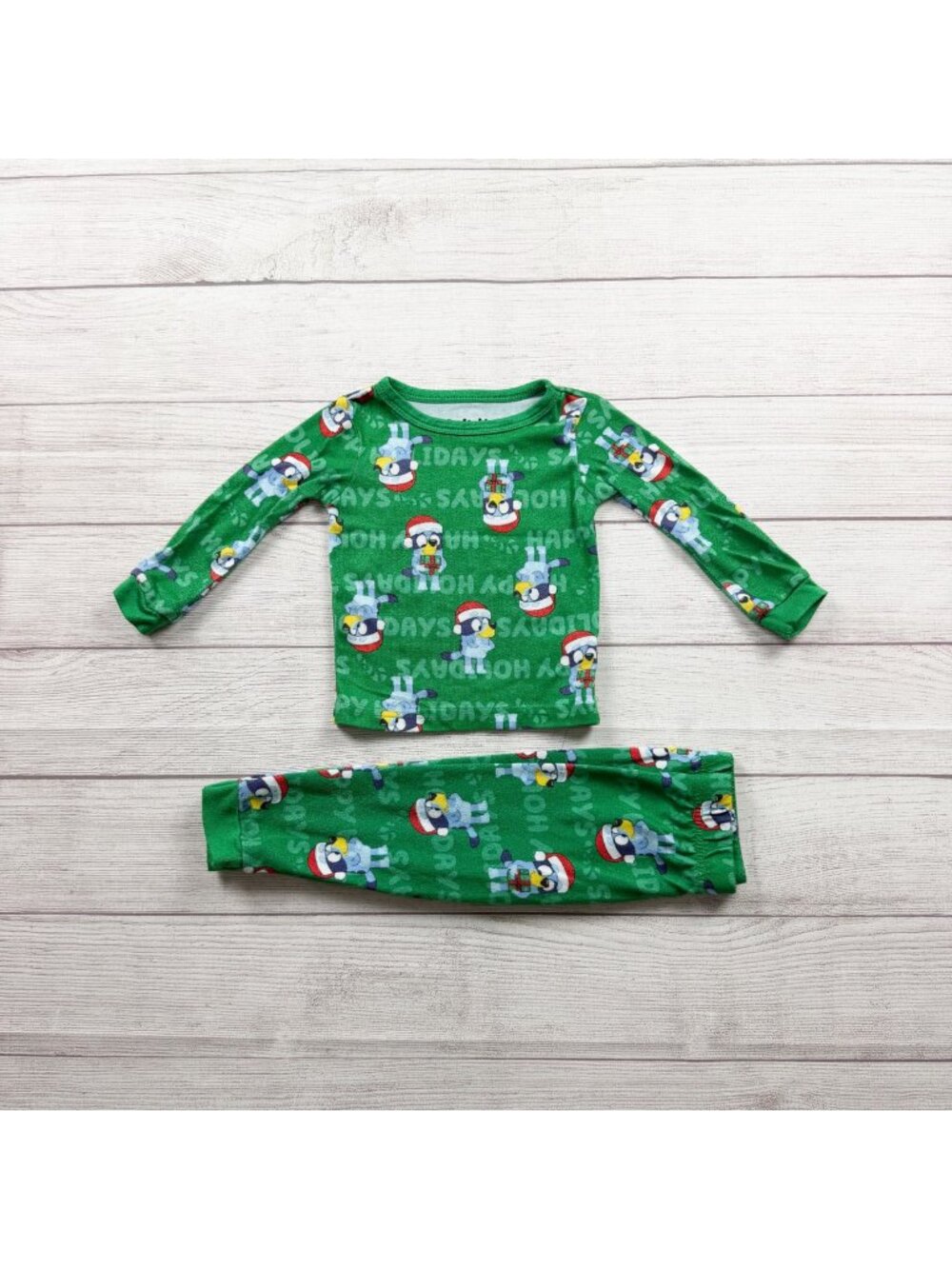 Bluey Green Toddler Holiday Pajama Set Long Sleeve 2 Piece 2T